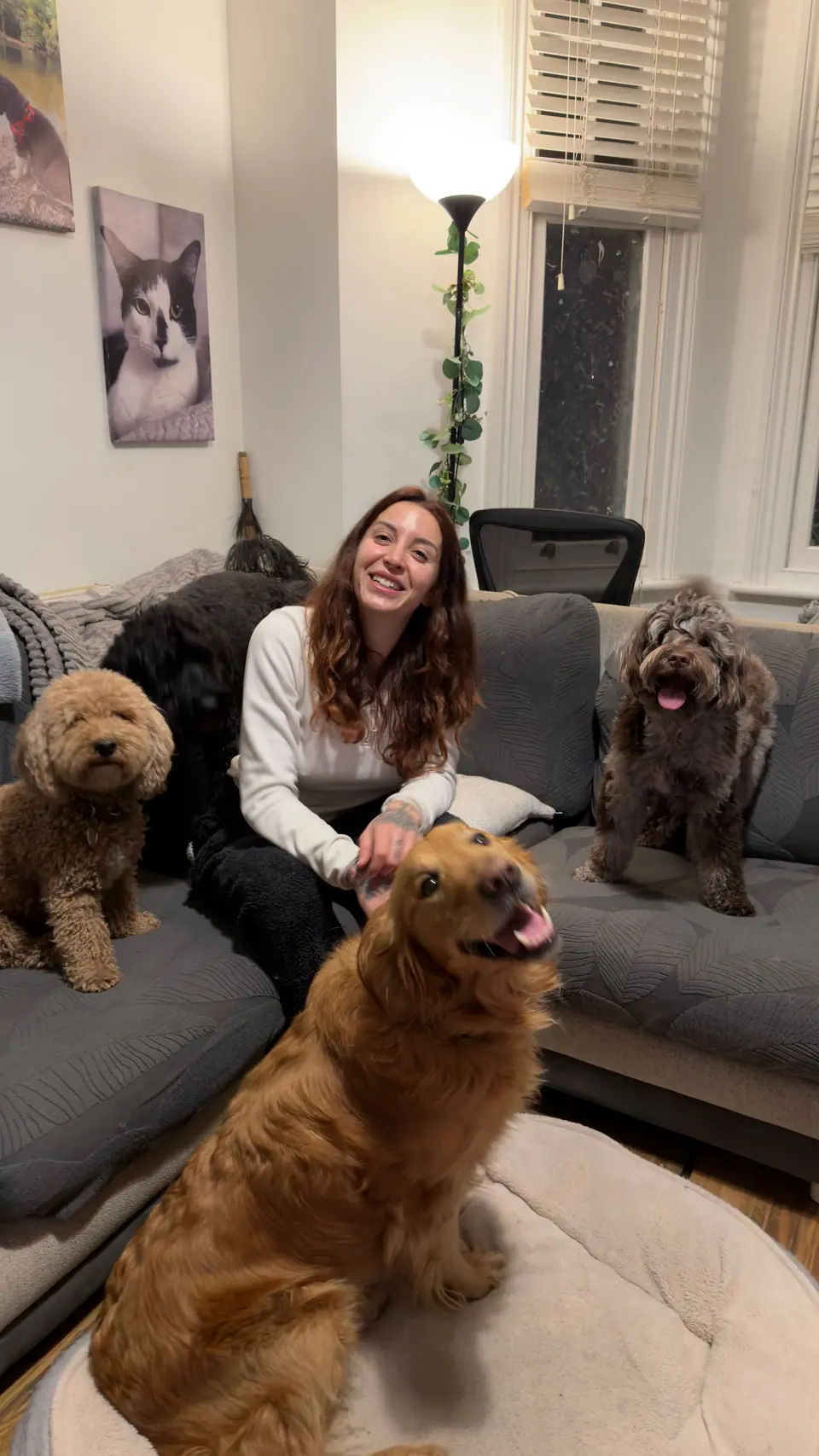 Erika laughing on the sofa at home with four dogs around her