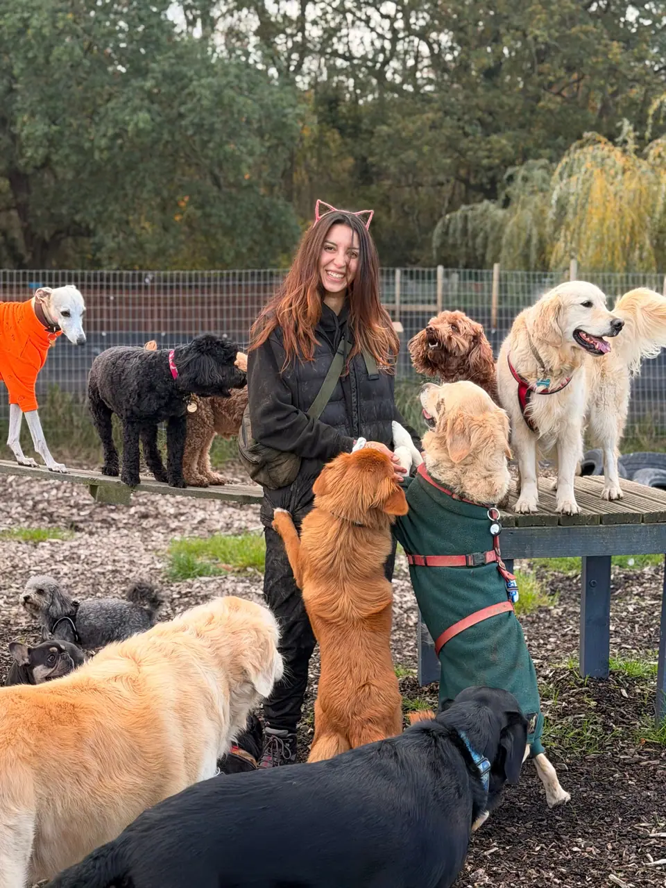 Erika at the park with a big group of dogs, some in bright coats
